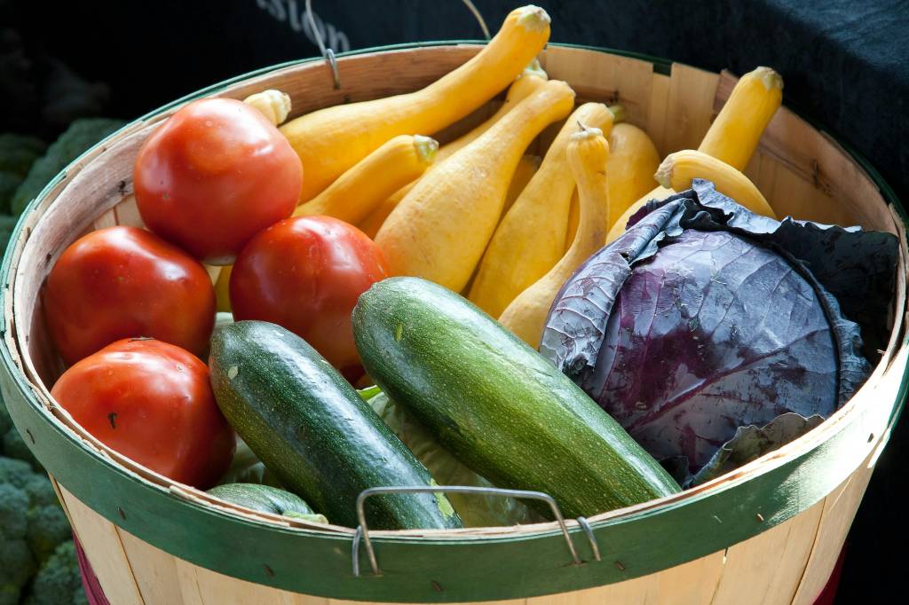 Idées de panier midi tout légumes pour régaler toute la famille avec 5 à 6 kg de produits frais