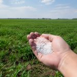 Azote nitrate : comprendre leurs impacts sur l’environnement et la santé