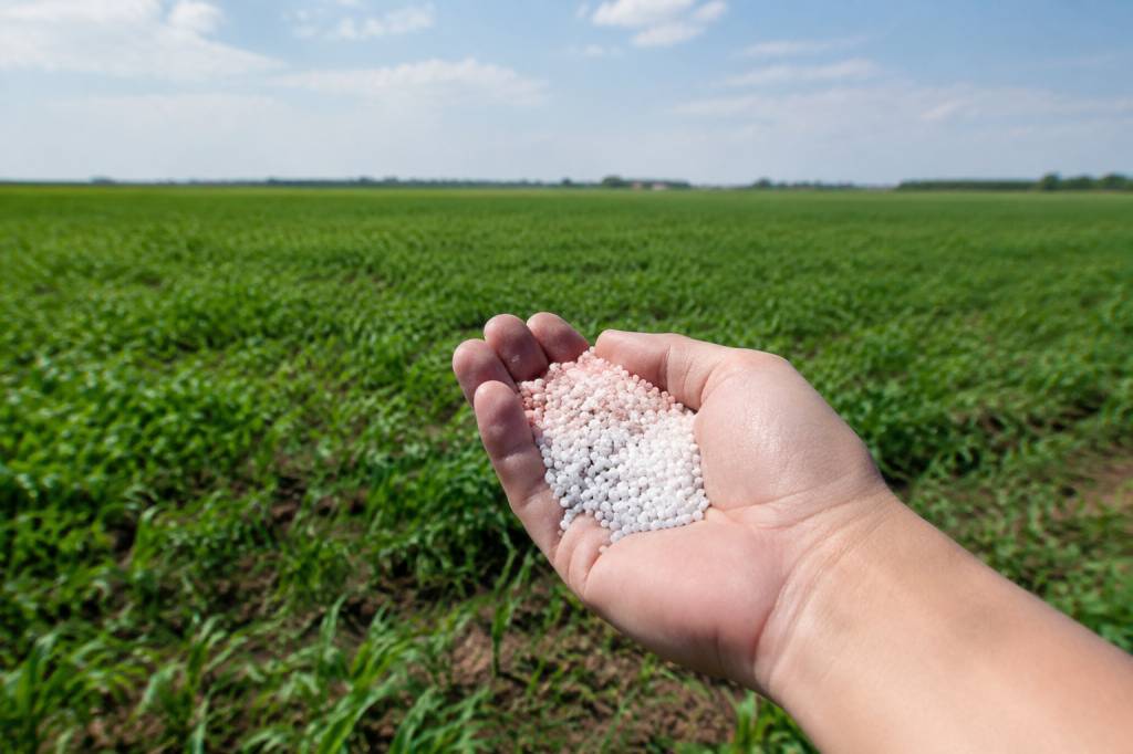 Azote nitrate : comprendre leurs impacts sur l’environnement et la santé