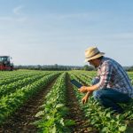 Agriculture raisonnée : définition, principes et enjeux pour une agriculture durable