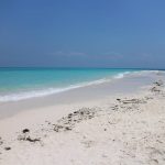 Hors piste tanzanie : combiner safari et séjour balnéaire à zanzibar