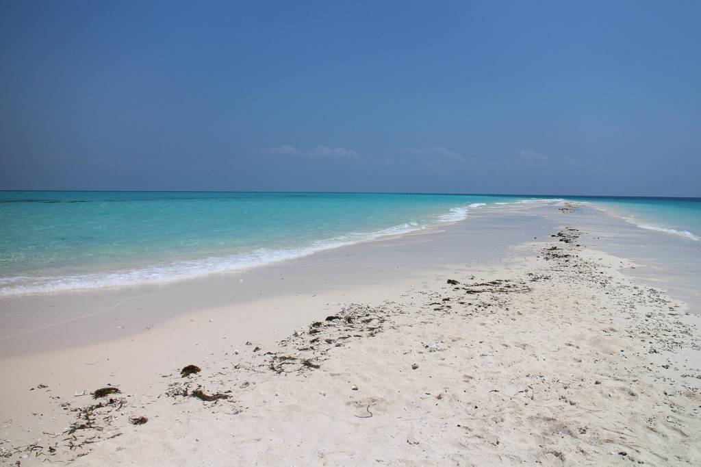 Hors piste tanzanie : combiner safari et séjour balnéaire à zanzibar